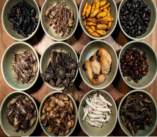 Gastronomia Prehispanica